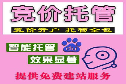 案例解读：推广竞价助力企业快速扩张